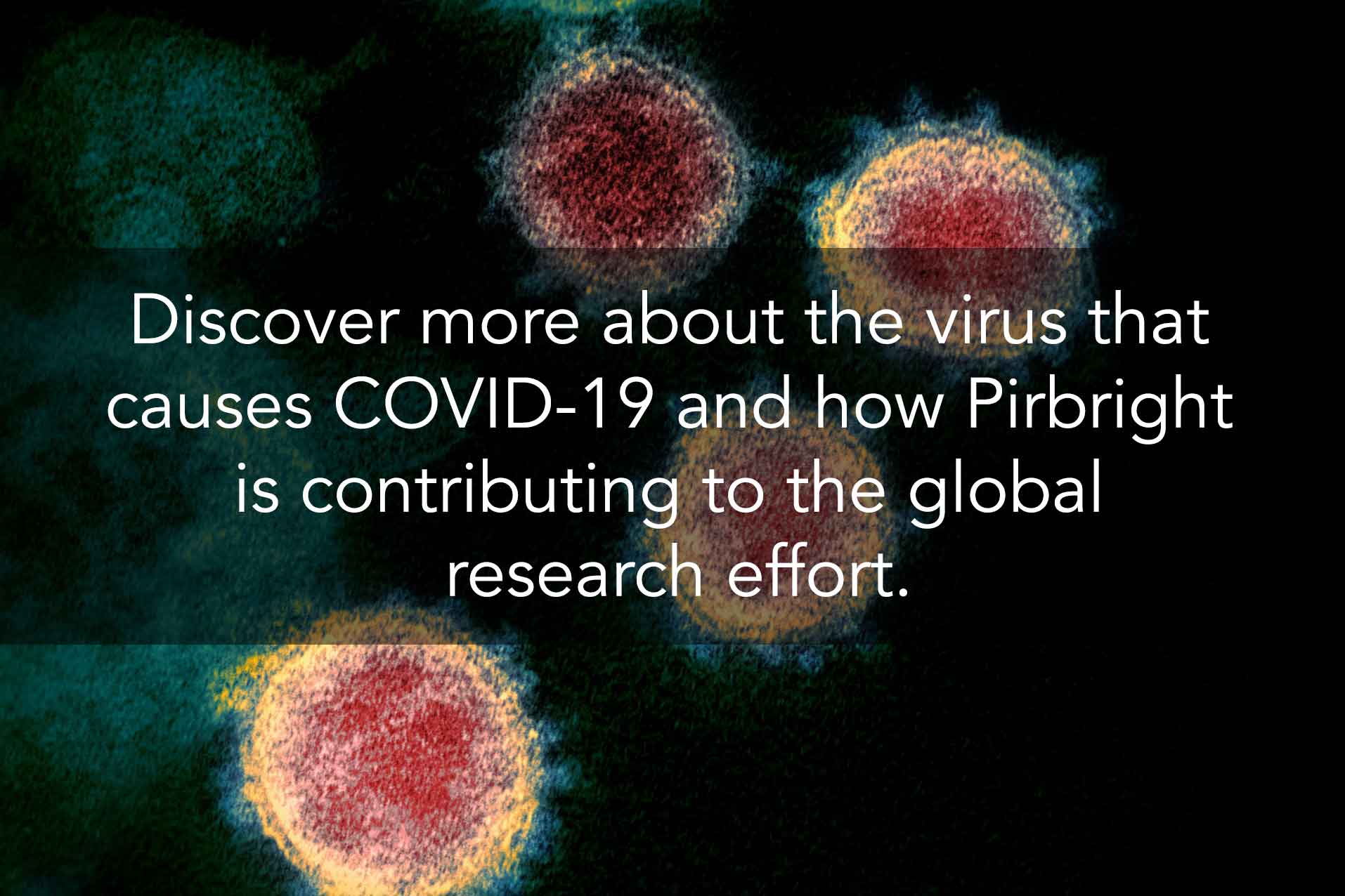 covid 19 sars-cov-2 page link - Discover more about the virus that  causes COVID-19 and how Pirbright  is contributing to the global  research effort.