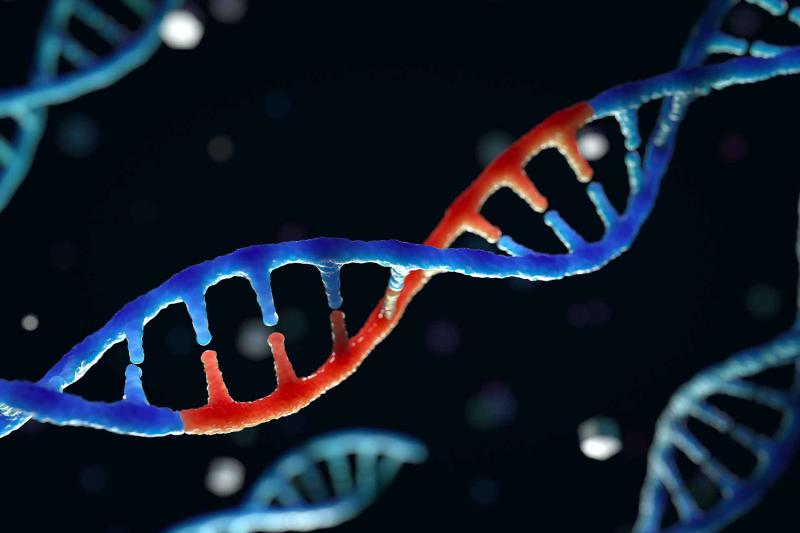 gene edited DNA