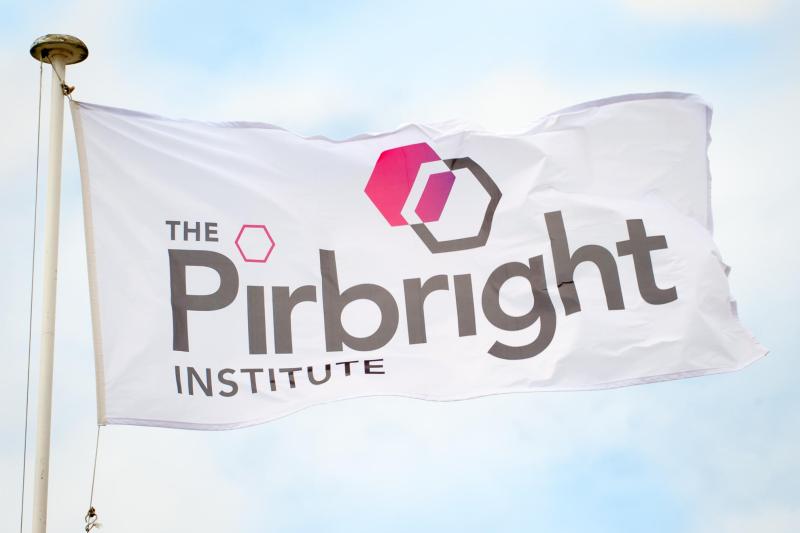 The Pirbright Institute Flag raised on a flagpole, billowing in blue sky